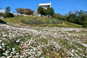 여수시 “선사유적공원 꽃구경으로 힐링하세요”